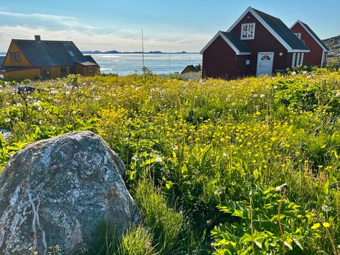 Photos from Greenland
